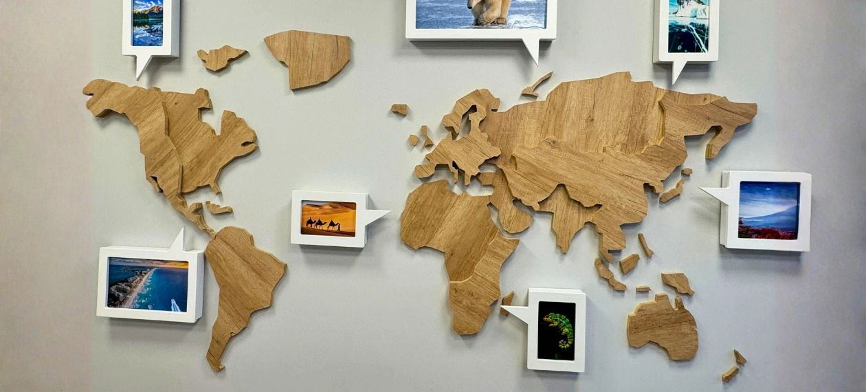 Profesjonalna obsługa